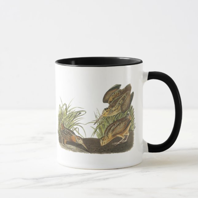 Mug Woodcock américain, copie de John Audubon (Droite)
