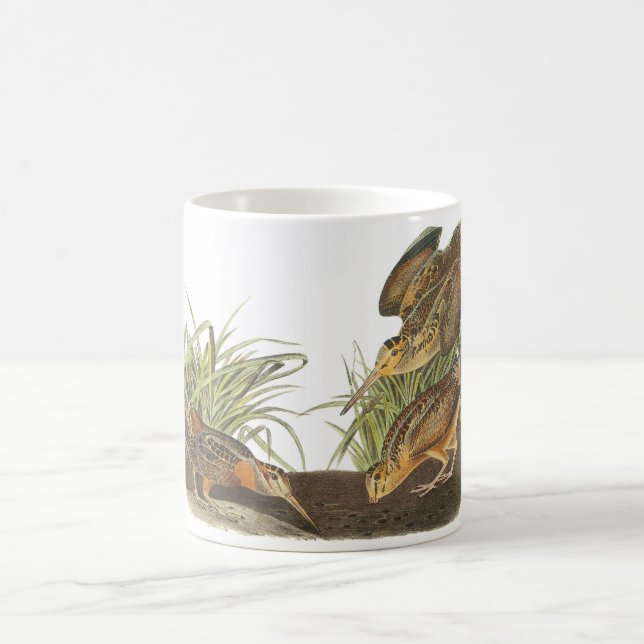 Mug Woodcock américain par Audubon (Centre)