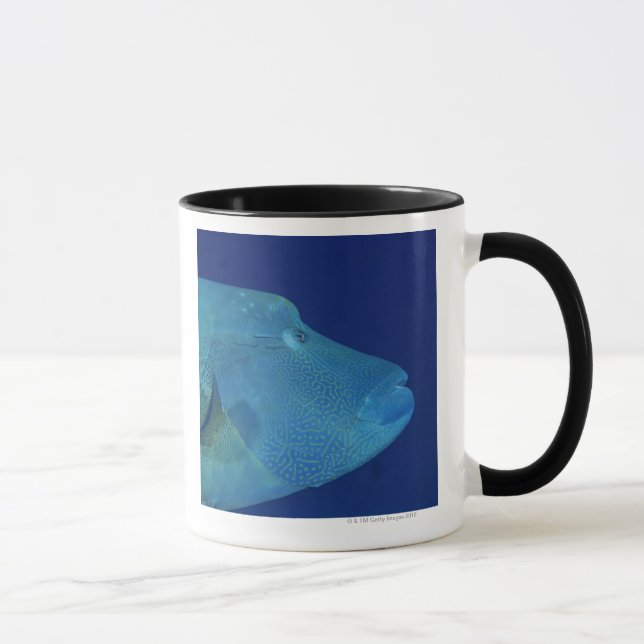 Mug Wrasse 2 de Humphead (Droite)
