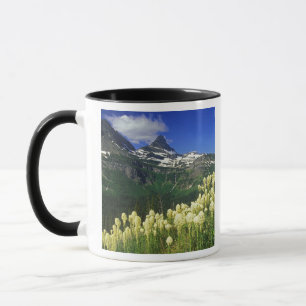 Mug Xerophyllum à Logan Pass dans le parc national de
