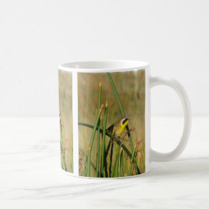 Mug Yellowthroat