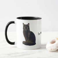 Yeux de démarrage du chat noir | Je vous regarde b