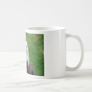 Mug Yeux d'un pygargue à tête blanche
