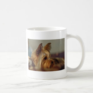 Mug Yorkshire Terrier