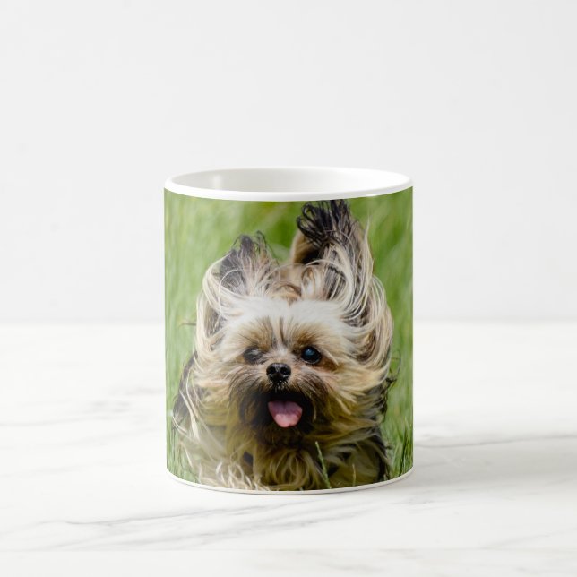 Mug Yorkshire Terrier mignon courant dans l'herbe (Centre)