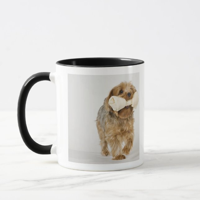 Mug Yorkshire Terrier sur la marche blanche d'arrière (Gauche)