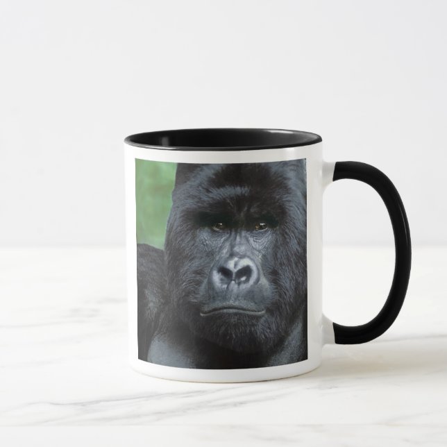 Mug Zaïre, Parc national des Virunga. Portrait de (Droite)