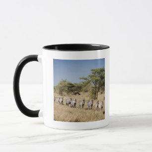Mug Zèbre de migration, Tanzanie