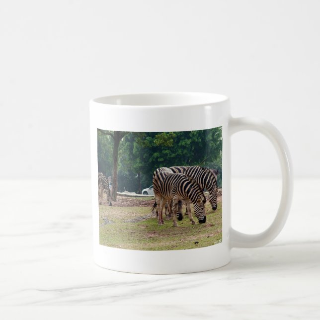 Mug zèbres dans un zoo d'animaux sauvages (Droite)