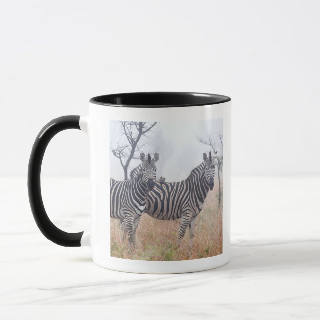 Mug Zèbres en poussière de début de la matinée, (Gauche)