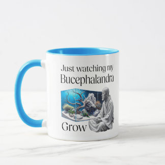 Mug Zen and Bucephalandra