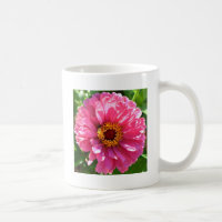 Zinnia rose
