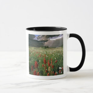 MUG ZONE SAUVAGE DU MONT TIMPANOGOS, UT, US,