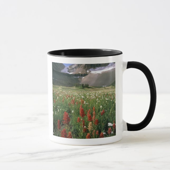MUG ZONE SAUVAGE DU MONT TIMPANOGOS, UT, US, (Droite)