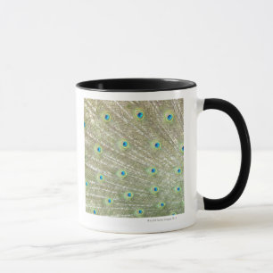 Mug Zoo de Johannesburg, province de Gauteng, Afrique