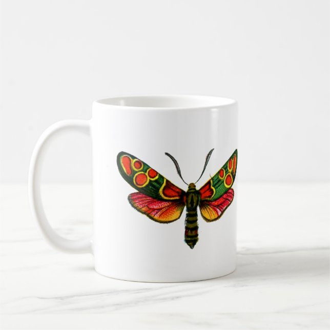 Mug Zygaena carniolica - La teigne de Burnet Crepuscul (Gauche)