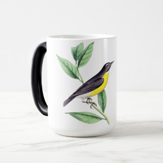 Mugs à oiseaux (Devant gauche)