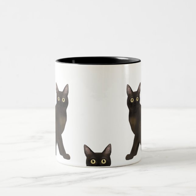 Mugs birmans (Centre)