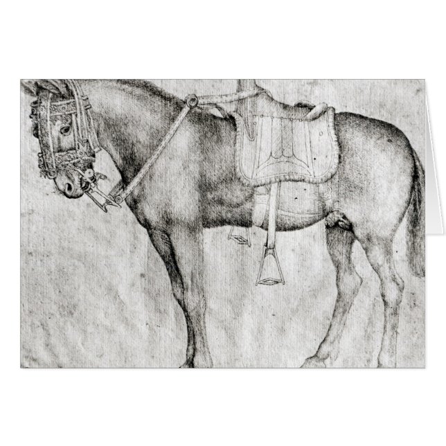 Mule, de l'album de Vallardi (Devant horizontal)