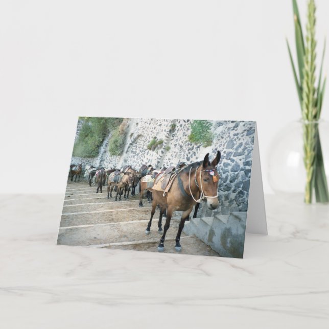 Mules en Grèce Cartes de voeux (Devant)