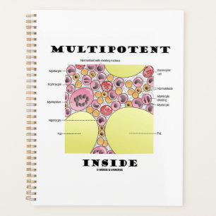 Multipotent Inside Blood Cell Formation Humor