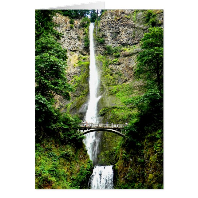 Multnomah (Devant)
