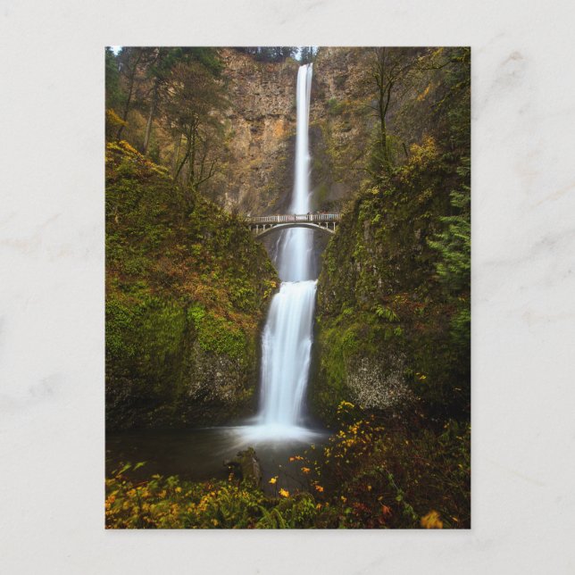 Multnomah Falls ・ Carte postale de l'Oregon (Devant)
