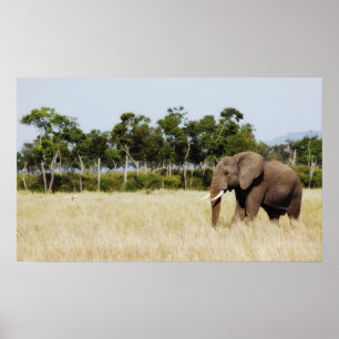 Mur à poster d'African Elephant suspendu