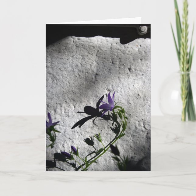 Mur aux fleurs de Bellflower - Cartes Sympathiques (Devant)