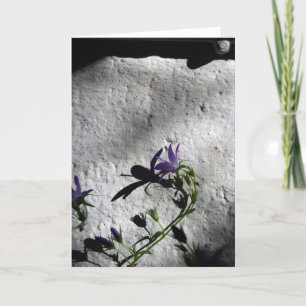 Mur aux fleurs de Bellflower - Cartes Sympathiques