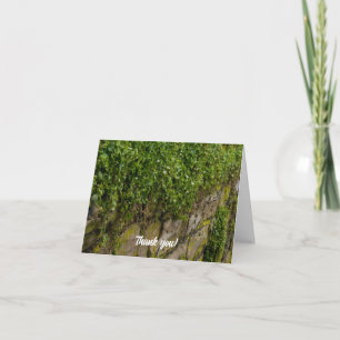 Mur De Carte de remerciements Ivy