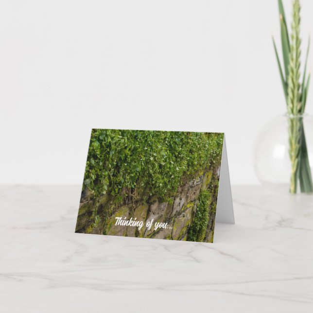Mur De Ivy Penser De Vous Carte (Devant)