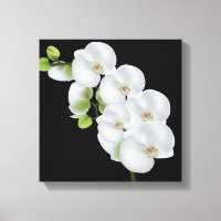 Mur de toile Orchidées Art-Blanc