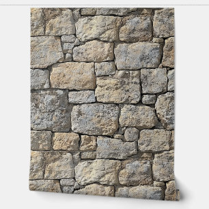 Mur en pierre beige de Castlecore