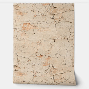 Mur en stuc peint en beige texturé craqué