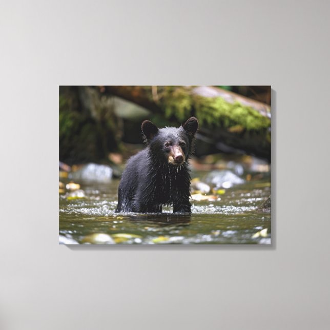 Mur en toile Art-Yellowstone Black Bear Cub (Recto)
