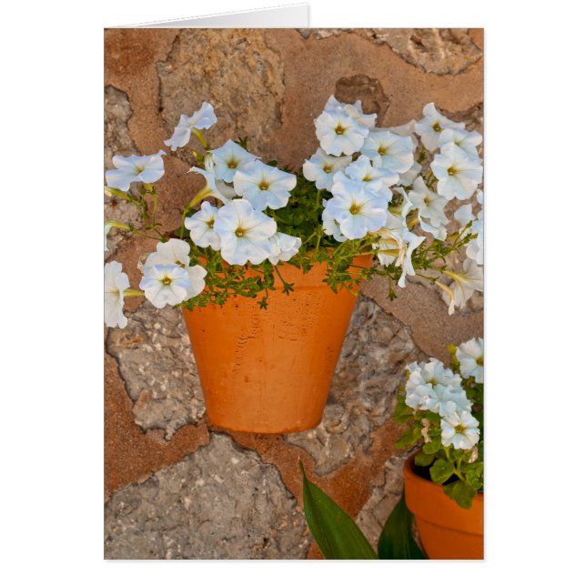 Mur espagnol (Devant)