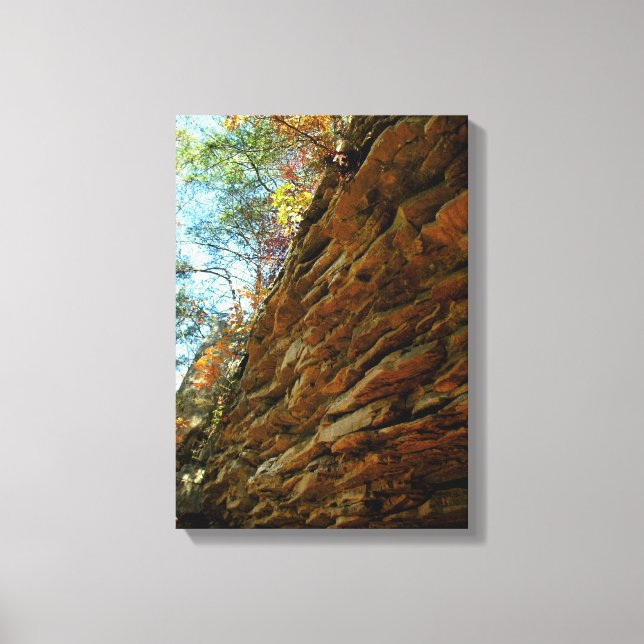 Mur naturel de roche stratifiée sur toile (Recto)