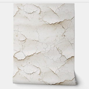 Mur texturé peint fissuré