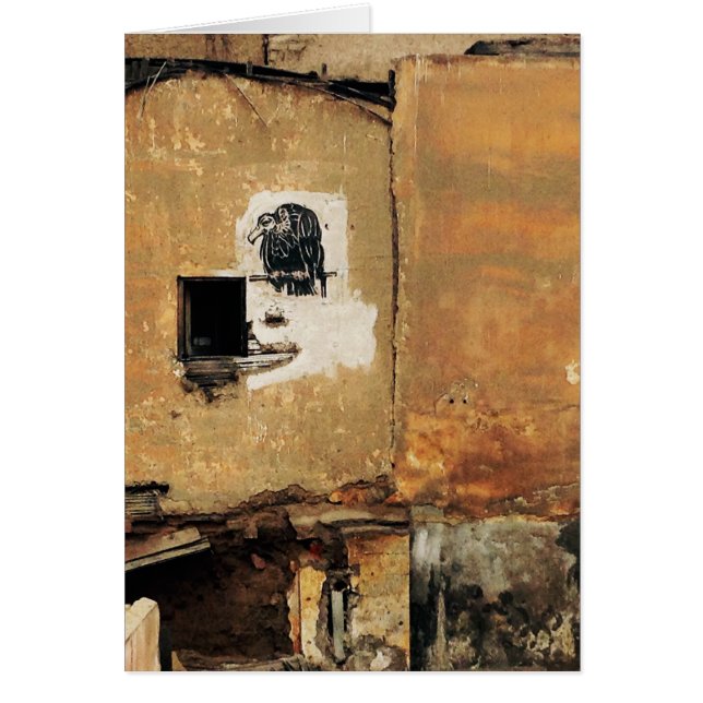 mur urbain de vautour péruvien (Devant)