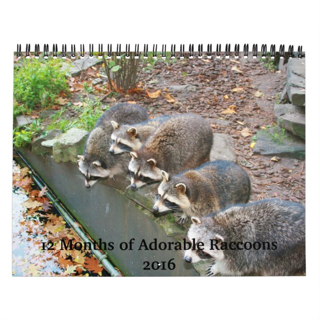 Mural 12 mois du calendrier adorable 2016 de ratons (Protection)