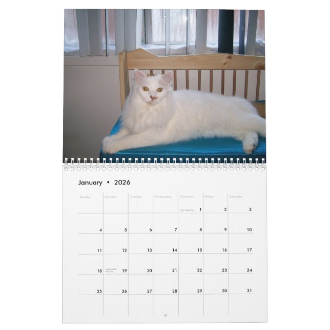 Mural 2009 aimant le calendrier sauvage de chat de Feral (Jan 2026)