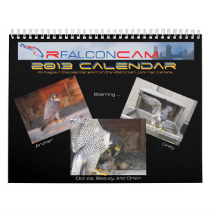 Mural 2013 calendrier - images principales de came