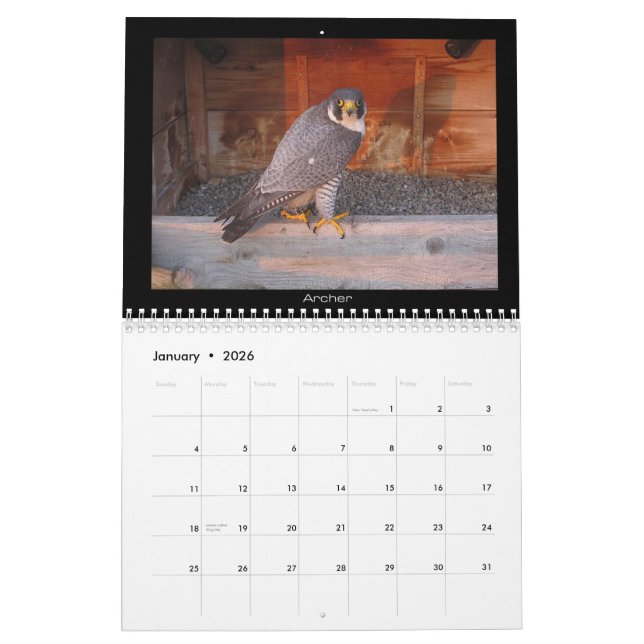 Mural 2013 calendrier - images principales de came (Jan 2026)