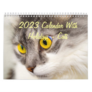 Mural 2015 calendrier avec des vacances - chats