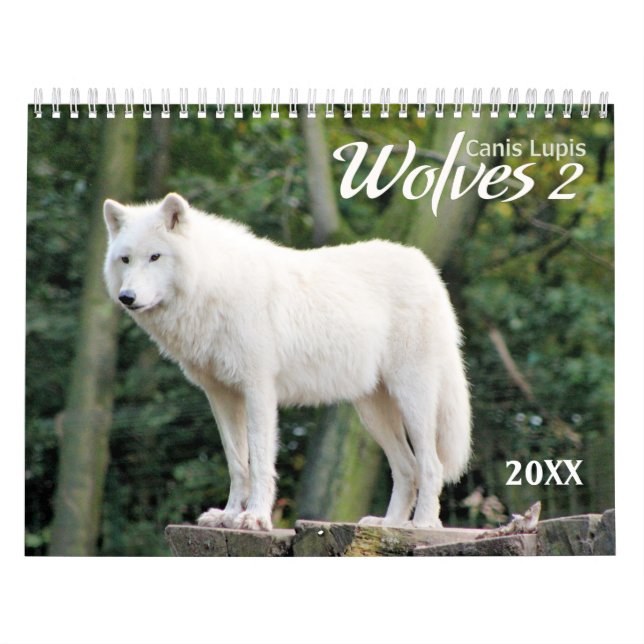 Mural 2021 Wolves 2 Calendrier de la photographie de la  (Protection)