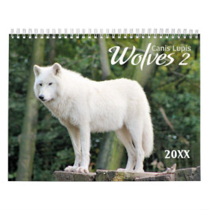 Mural 2021 Wolves 2 Calendrier de la photographie de la 
