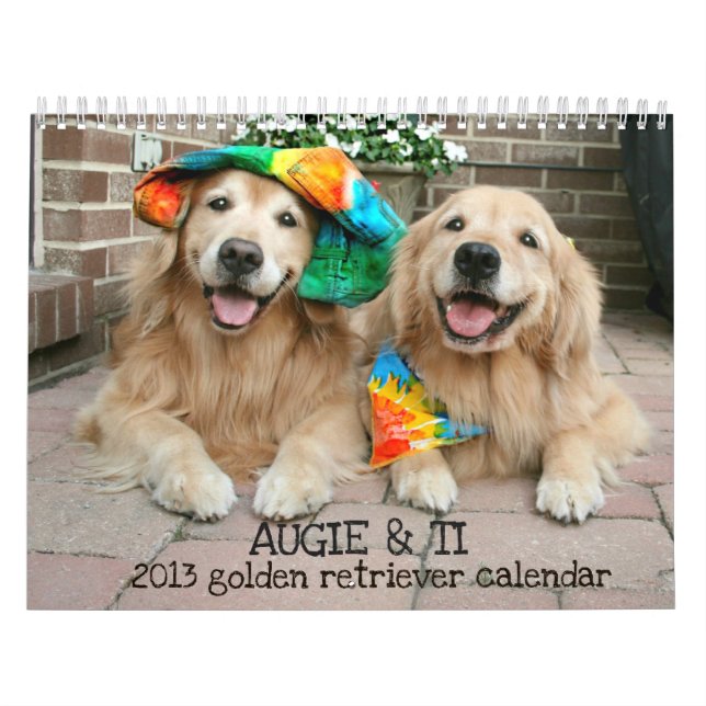 Mural Augie et calendrier 2013 du golden retriever du Ti (Protection)