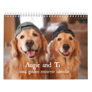 Mural Augie et calendrier 2014 de golden retriever de Ti