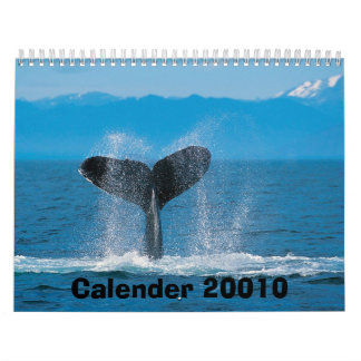 Mural Baleine de bosse, calendrier 20010